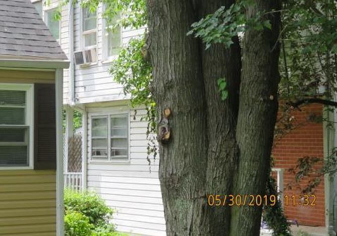 2nd image of 5904 Coral Sea Ave