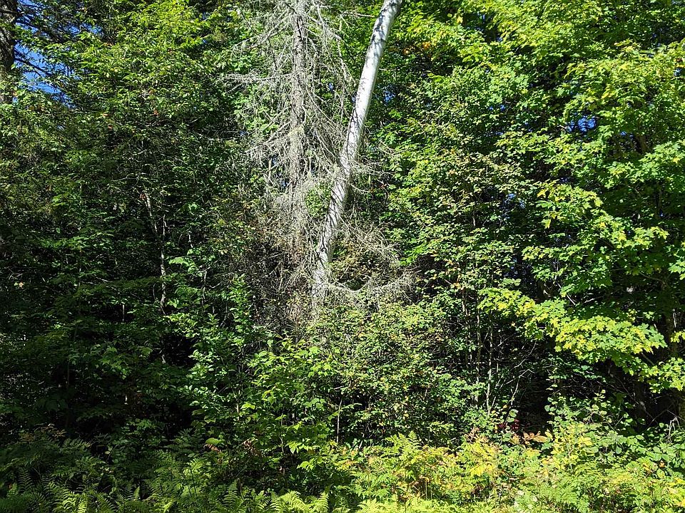 Lot 10 South Pond Road, Groveton, NH 03582 Zillow