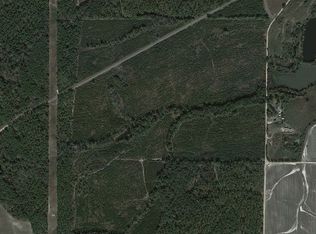 Pineview Pitts Hwy, Pineview, GA 31071