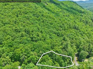 11 Magnolia Branch Dr, Zirconia, NC 28790