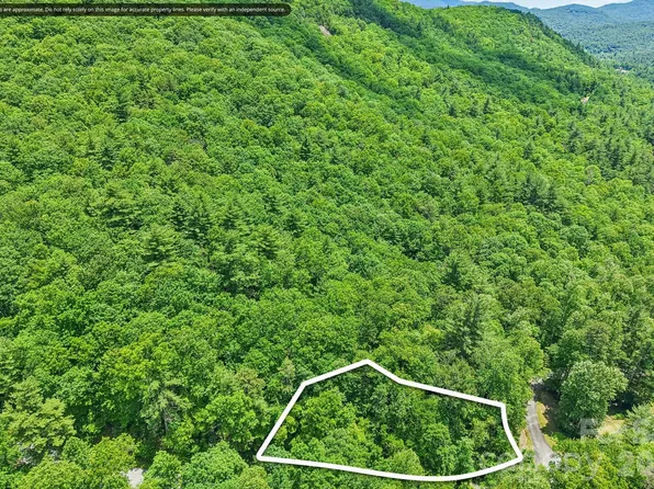 11 Magnolia Branch Dr, Zirconia, NC 28790