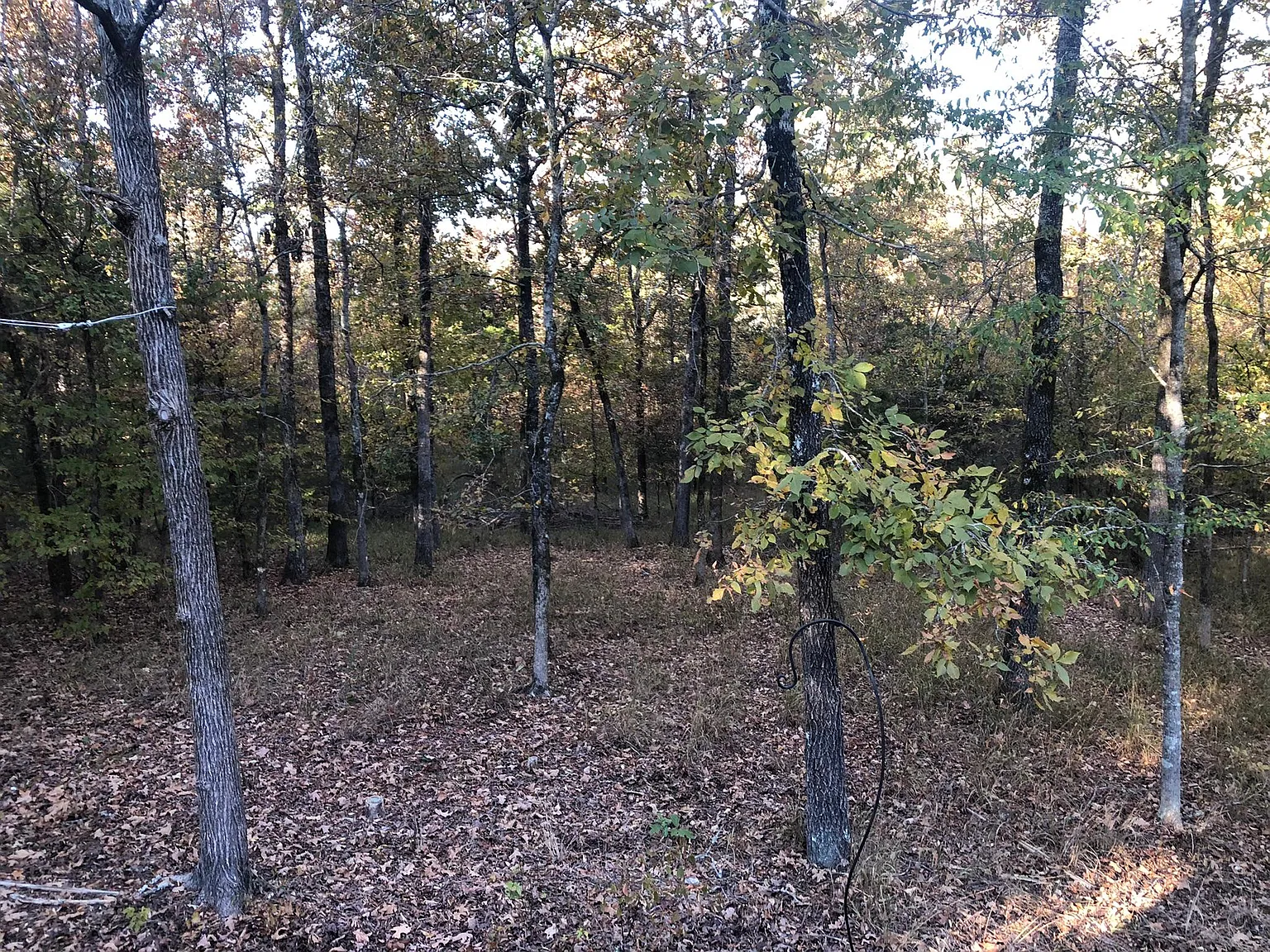 16 Arista Ln — Photo 4