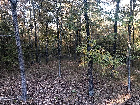 Wooded privacy out back.