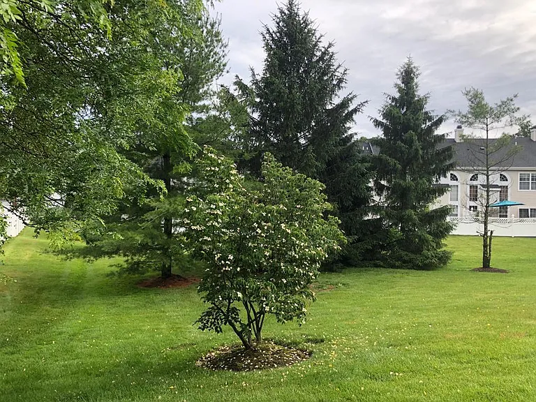 304 Harvest Ln — Photo 28