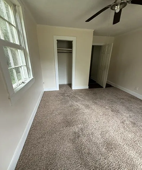 114 Diggs Ct — Photo 13