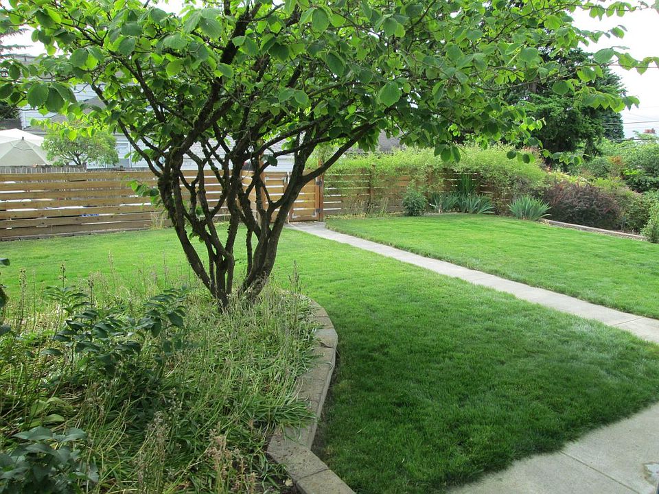 Backyard Springtime