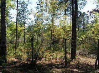 20037 Dickerson Rd, Fountain, FL 32438