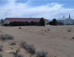 Beautiful Horse Prop.