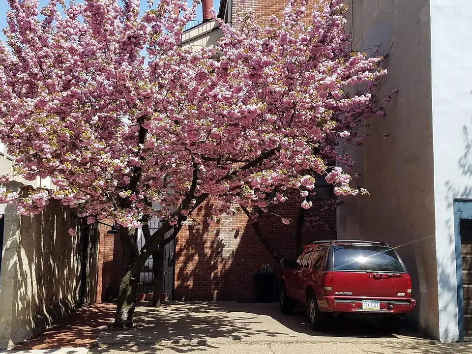 Dedicated parking
