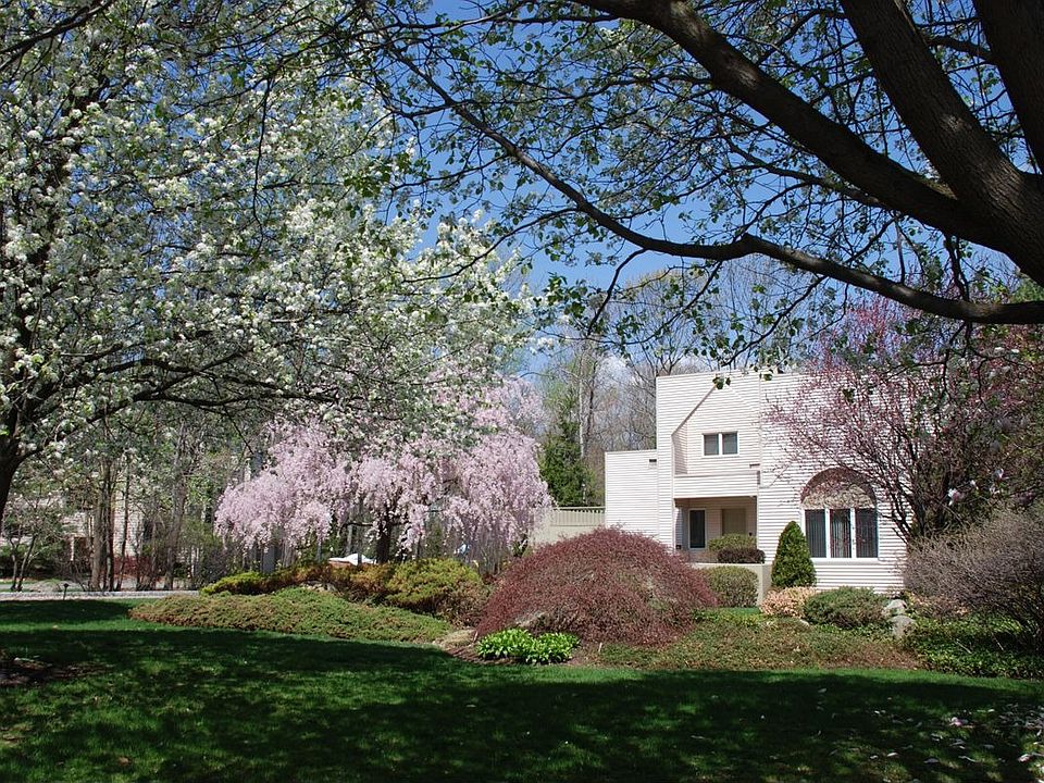 A Stunning Contemporary