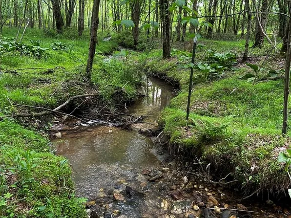 00-00 Appleton Rd, Cana, VA 24317