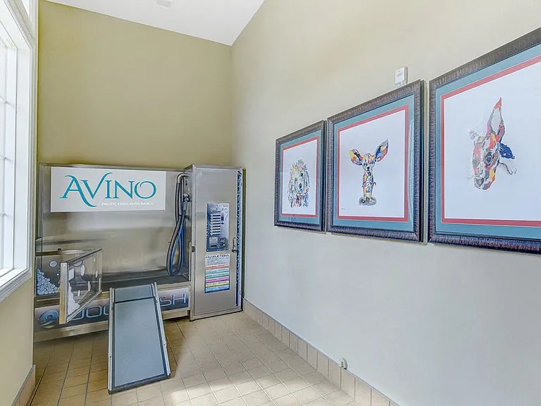 Dog Wash at Avino