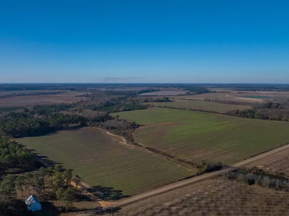 0 Mitchell County Line Rd, Hartsfield, GA 31756