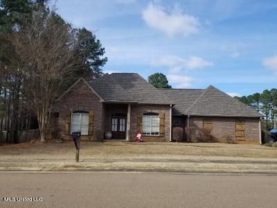 164 Devlin Springs Dr, Madison, MS, 39110