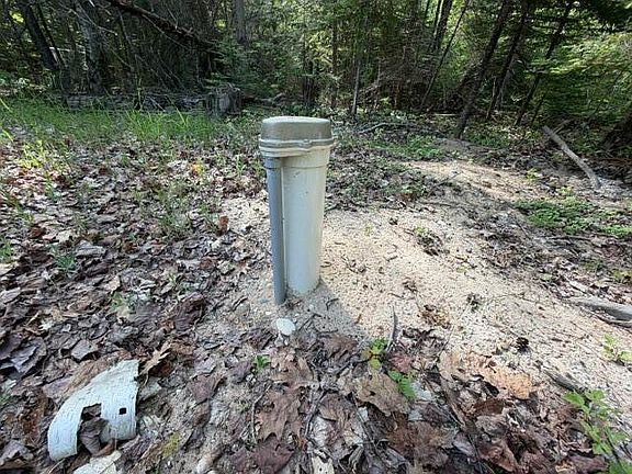 4th image of 27624 Tamarack Trl
