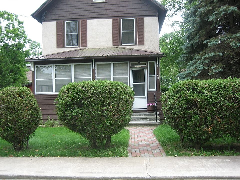 Front, privacy cedar hedge