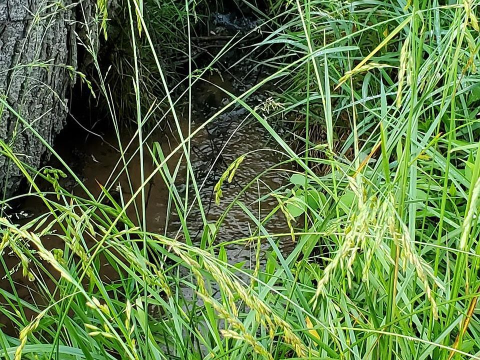2nd image of Loafers Rest Rd