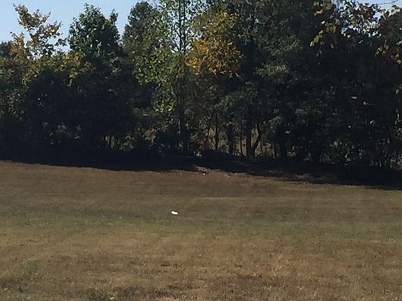 3rd image of 104 Mustang Dr