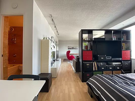 4th image of 180 Park Row APT 15E