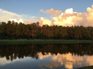 2850 Riders Pass, Odessa, FL 33556