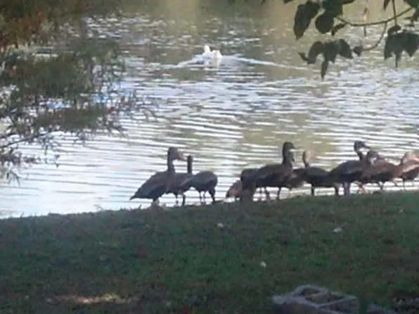 1024-1038 W Dixie Ave, Leesburg, FL 34748