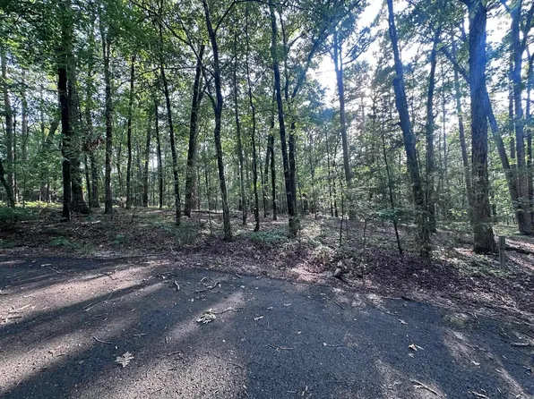 5 Elda Pl, Hot Springs Village, AR 71909