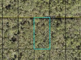 Kathy St, Hastings, FL 32145