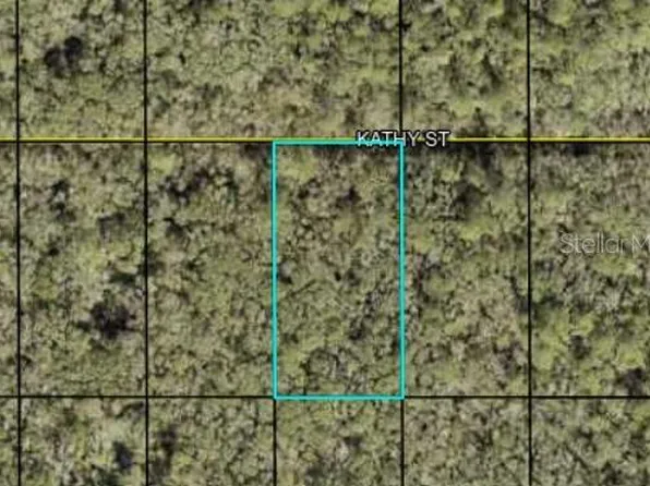 Kathy St, Hastings, FL 32145