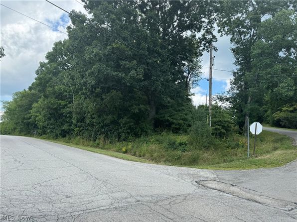 48395 Allegheny Trl, Negley, OH 44441