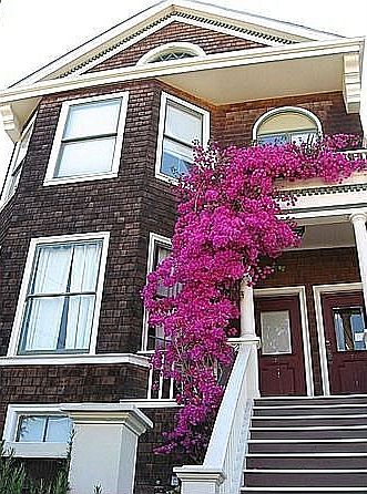 1st image of 76 Vicksburg St
