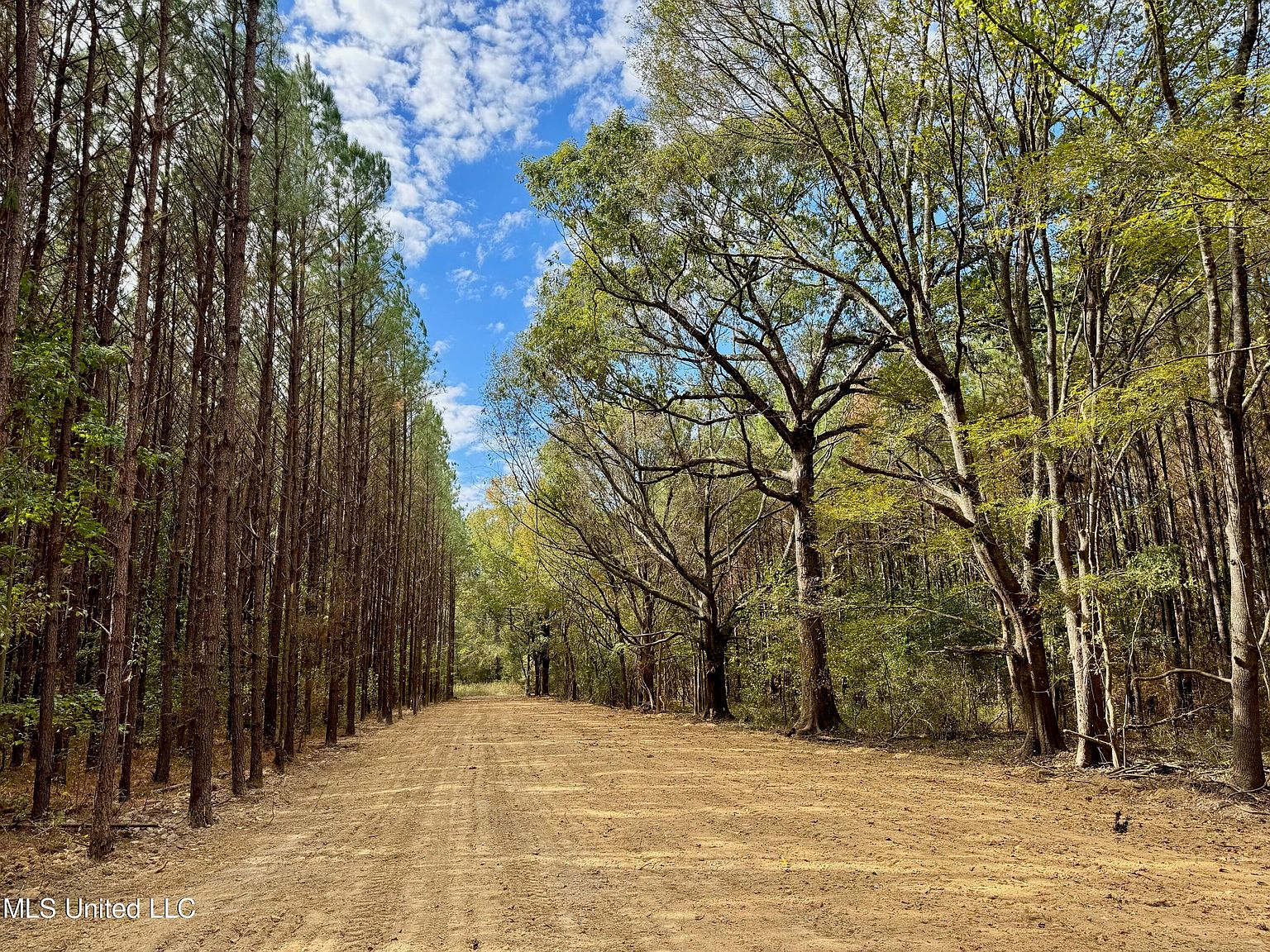 Yandell Rd, Madison, MS 39110 MLS 4062922 Zillow