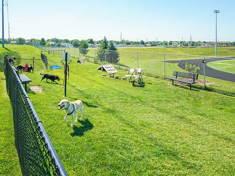 Your furry friends will love playing in our expansive dog park.