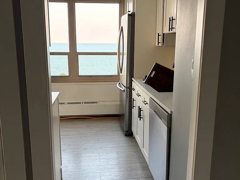 3950 N Lake Shore Dr #2000 — Photo 8
