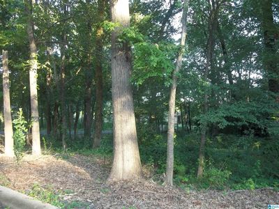 5715 Camden Ave #1, Birmingham, AL, 35228