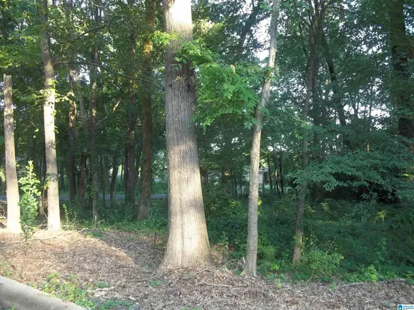 5715 Camden Ave #1, Birmingham, AL 35228