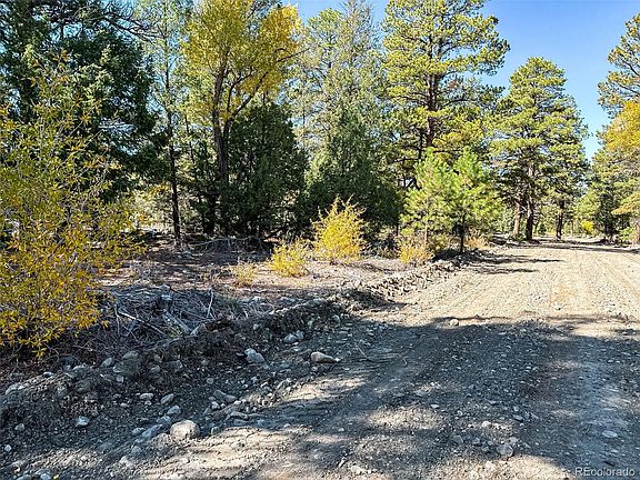 3rd image of 54 & 56 Big Bear Road