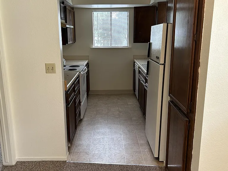 526 Dana St #8 — Photo 3