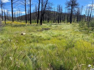 1781 Arthur Pl, Fort Garland, CO 81133