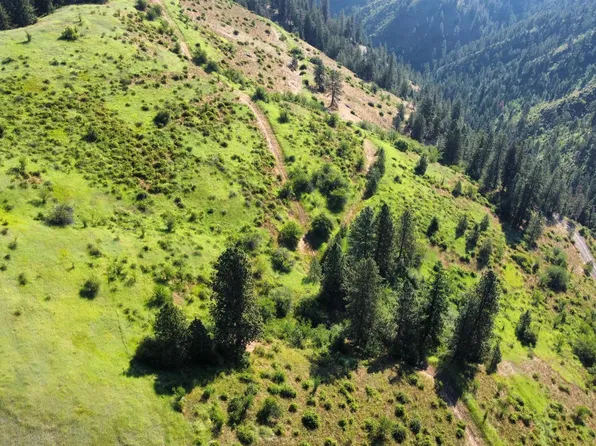 Greer Grade Rd, Nezperce, ID 83543