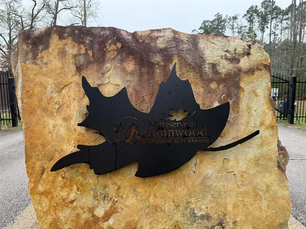 10213 S Autumn Leaf Cir, Magnolia, TX 77354