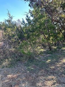 311, 319 & 327 Flatrock Dr LOT MULTI, Canyon Lake, TX, 78133