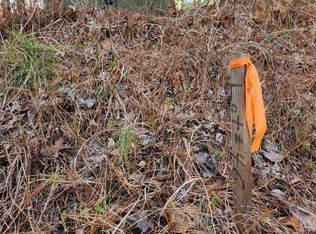 1050 Hardwood Holw #46, Greensboro, GA 30642