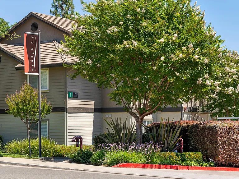 Sonterra Apartments — Photo 12