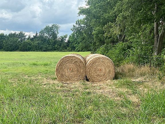 5th image of Tribble Rd