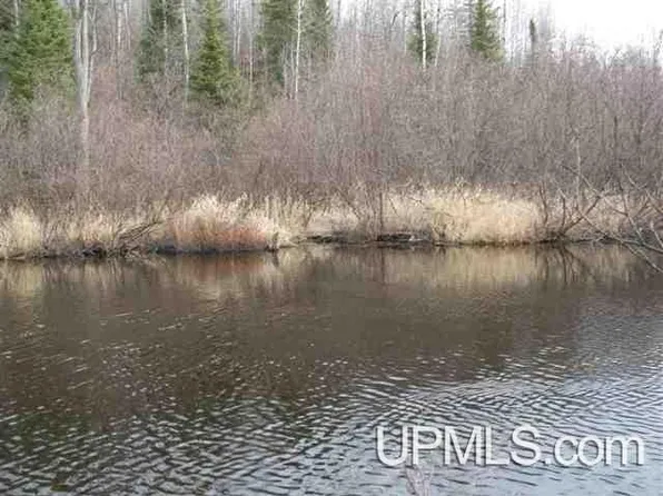 Tbd McGillis Ave, Caspian, MI 49915