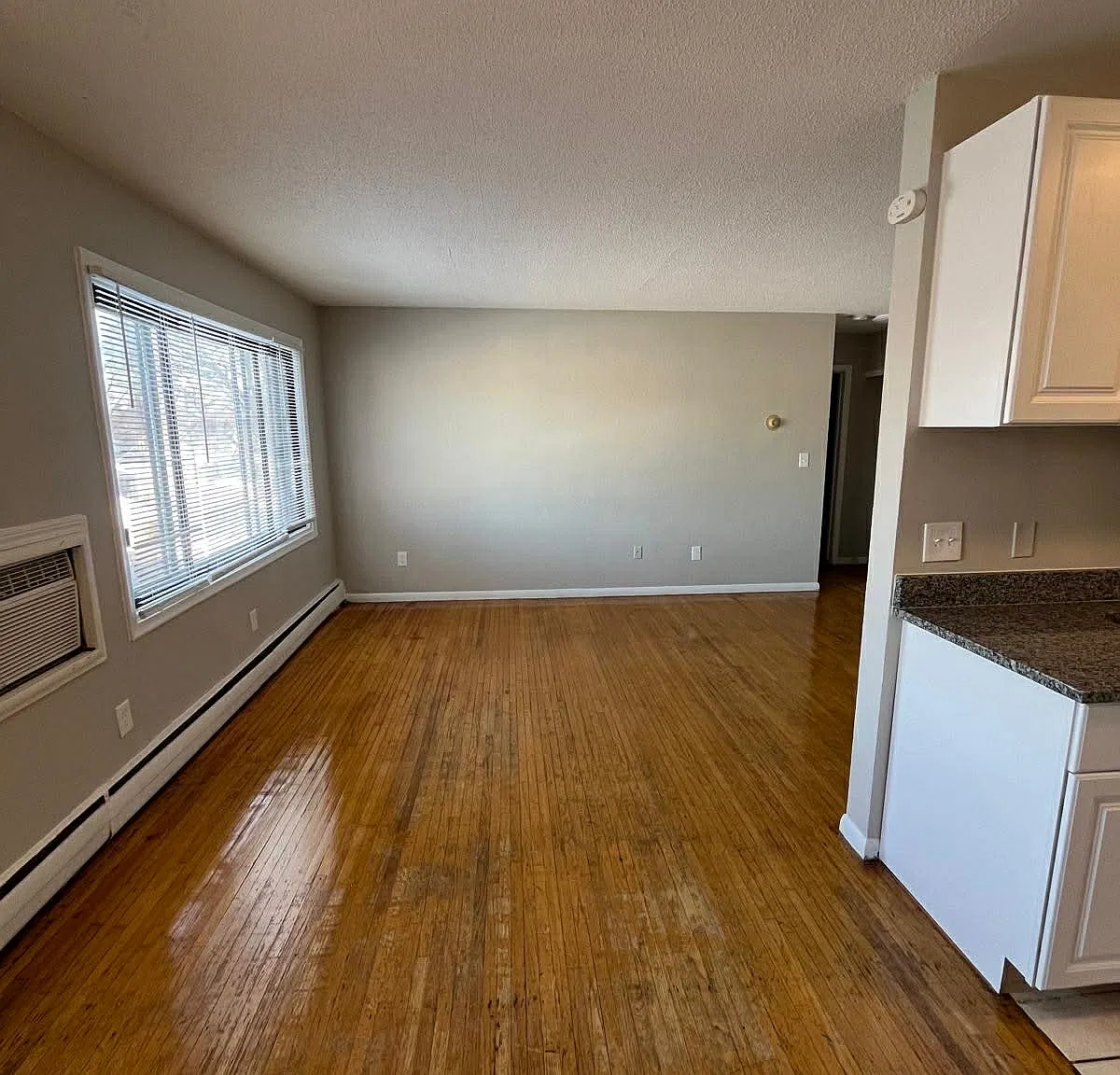 1 bed, $1,100 — Photo 2