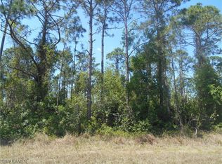 510 Walter Gifford Ave S, Lehigh Acres, FL 33974