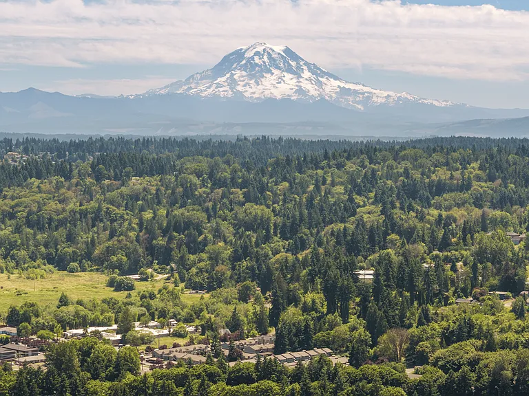 Breathtaking views of Mount Rainier