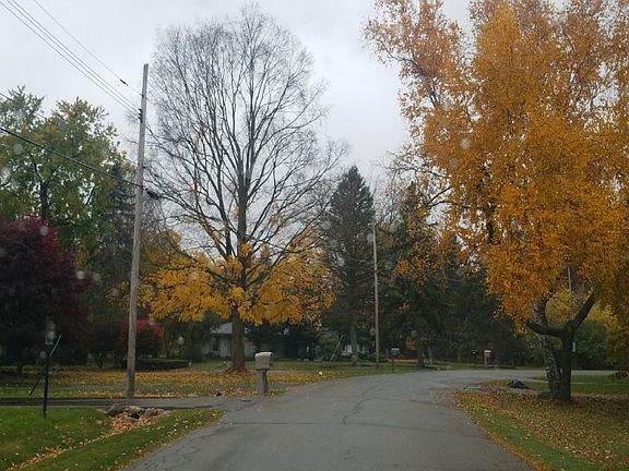 4th image of 6321 Dakota Cir