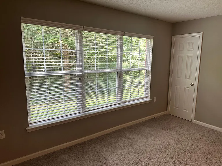 Living Room Window and Closet -Looks Out Onto Wooded View